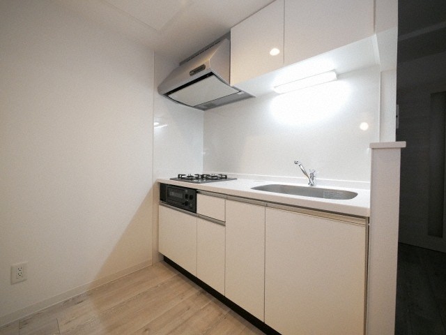 キッチン　嬉しいシステムキッチン付きです♪コンロを買わなくてもOK♪