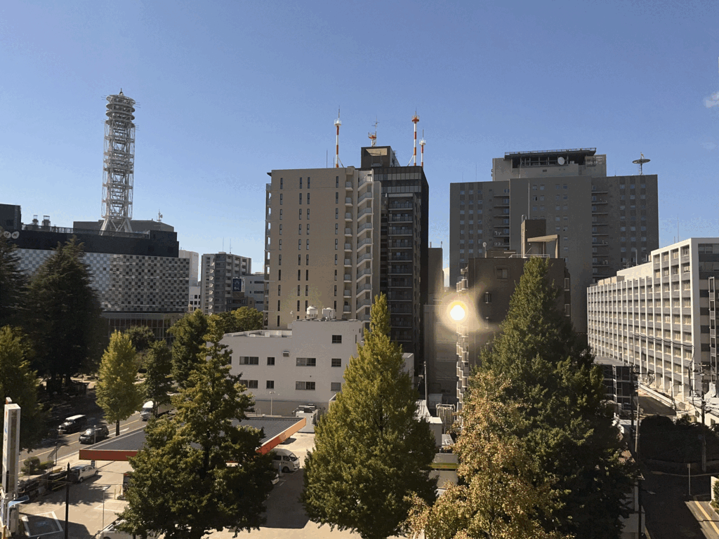 眺望　※西向き７階住戸からの眺望