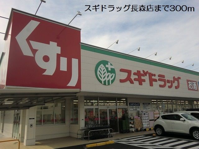 ドラックストア　スギドラッグ長森店（ドラッグストア）まで300m