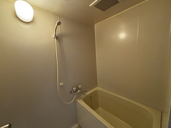 バス・シャワールーム　※別部屋の写真です