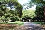 公園　代々木公園（公園）まで708m