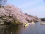 公園　井の頭恩賜公園（公園）まで761m