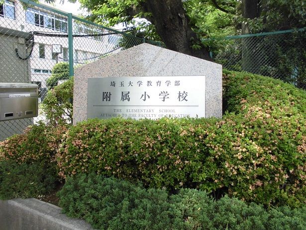小学校　埼玉大学教育学部附属小学校（小学校）まで233m