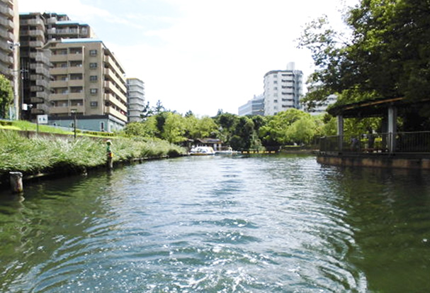 公園　横十間川親水公園（公園）まで310m