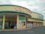 スーパー　リオン・ドール寺尾店（スーパー）まで700m