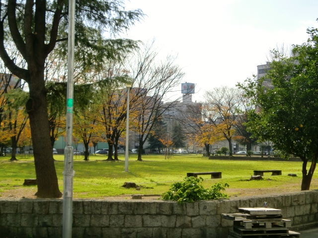 公園　公園（公園）まで100m