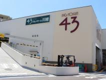 スーパー　43グルメモール川崎 BIG YOSUN(ビッグヨーサン)（スーパー）まで721m