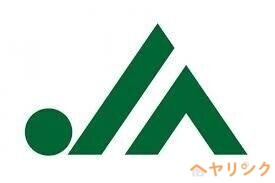 スーパー　ピアゴパワー守山店（スーパー）まで732m