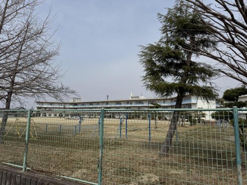 小学校　松枝小学校（小学校）まで732m