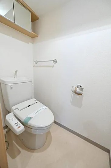 トイレ　別タイプ部屋　参考写真です