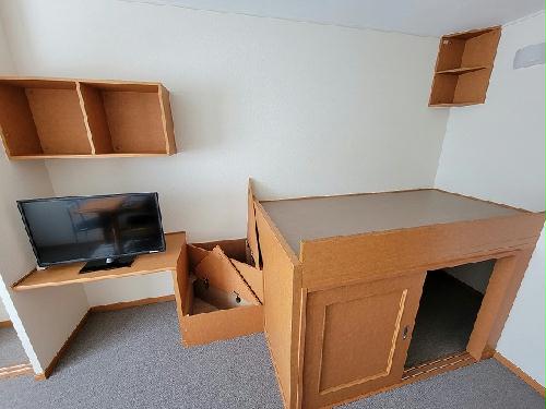 収納　絨毯の色はお部屋によって異なります