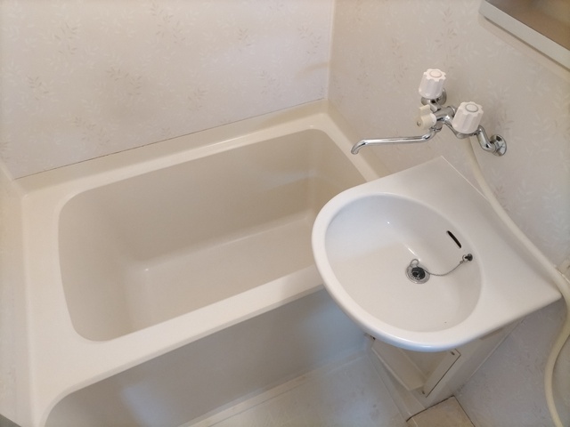 バス・シャワールーム　洗面ボウル付きの浴室です