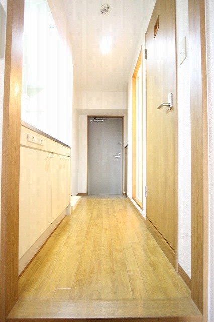 玄関　同物件、別号室のものです