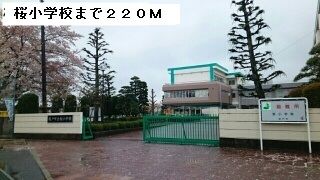 小学校　桜小学校（小学校）まで220m