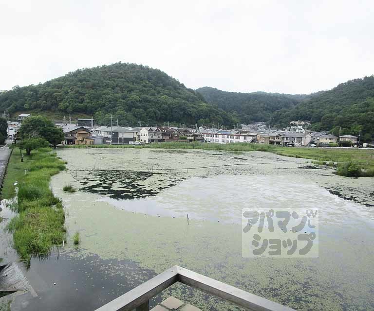 眺望　２０３号室の写真です。