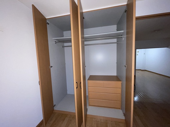 収納　※別部屋の写真です