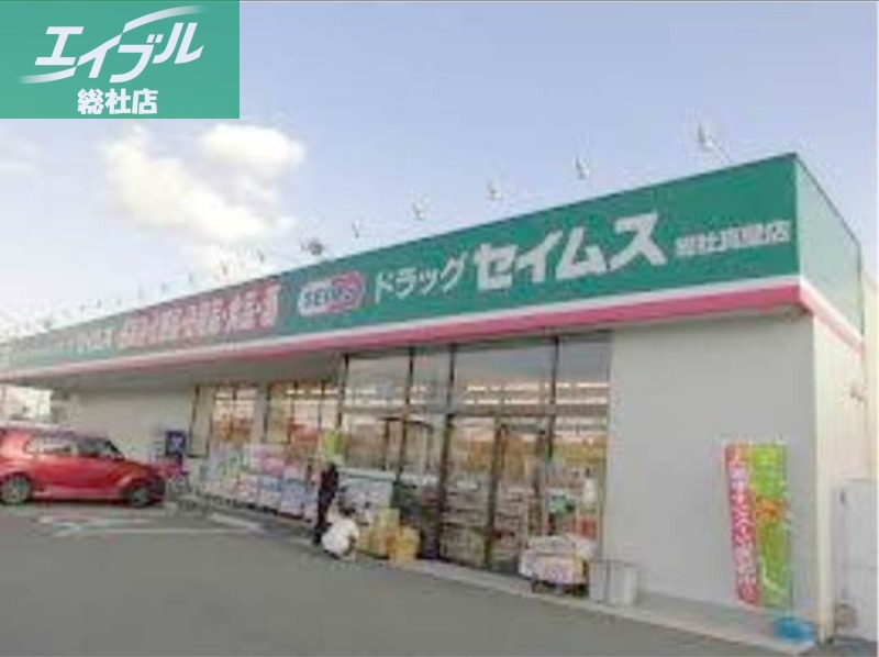 ドラックストア　ドラッグセイムス総社真壁店（ドラッグストア）まで923m