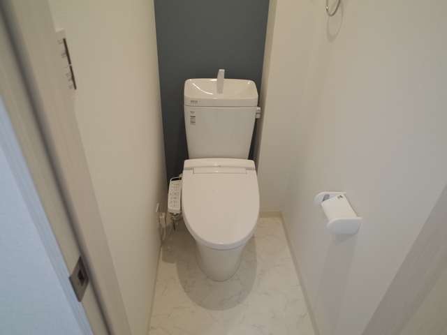 ルミエール西代 B棟のトイレ写真