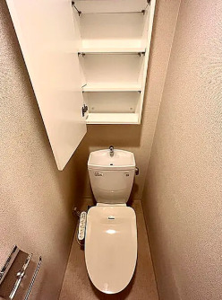 トイレ　別タイプ部屋　参考写真です