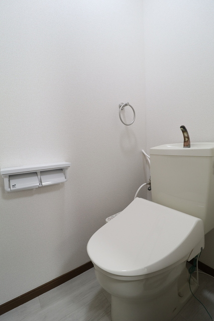 妙高はねうまライン 高田駅 2階建 築25年のトイレ写真