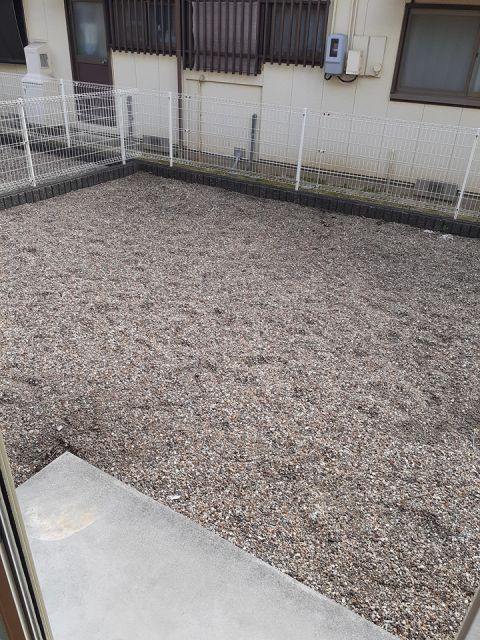 庭