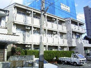 建物外観　南向きで日当たり良好