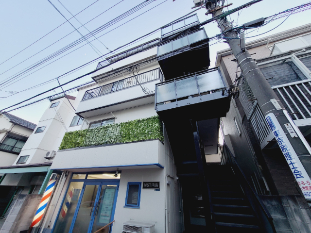 MST向島