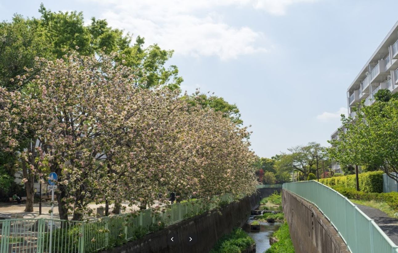 公園　久我山中央緑地（公園）まで1132m