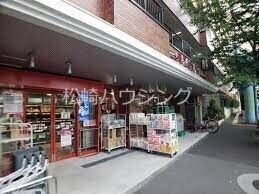 短期貸し ライオンズマンション沼袋の周辺写真