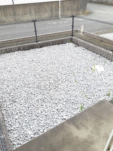 庭