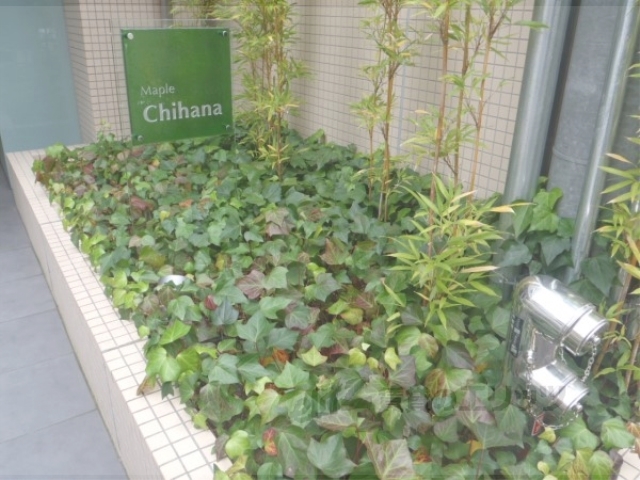 その他共有部分　植栽