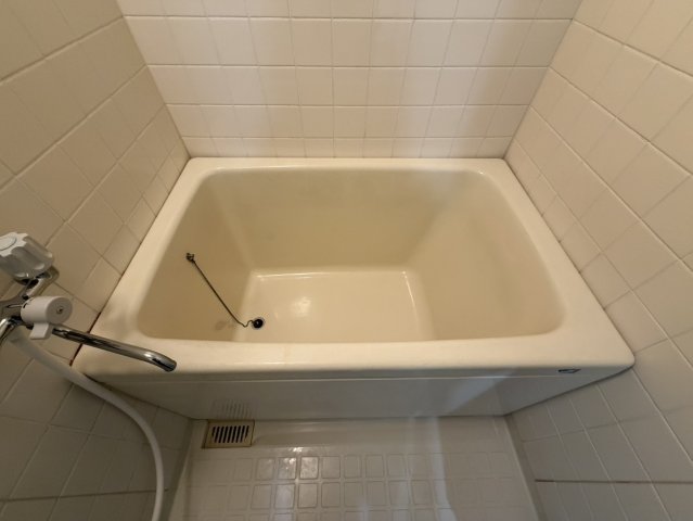 バス・シャワールーム　落ち着いた空間のお風呂です