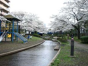 公園　大横川親水公園（公園）まで667m