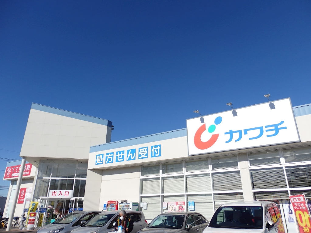 ドラックストア　カワチ薬品 東城南店（ドラッグストア）まで661m
