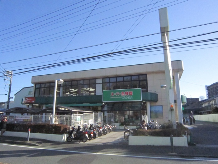スーパー　スーパーTAIGA岡津店（スーパー）まで850m