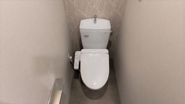 トイレ　ウォシュレット機能付きです