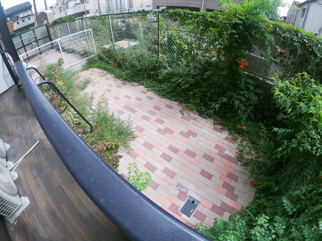 庭