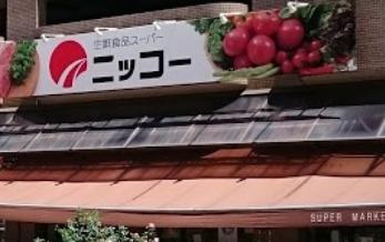 スーパー　生鮮食品スーパー ニッコー 伊丹店（スーパー）まで251m