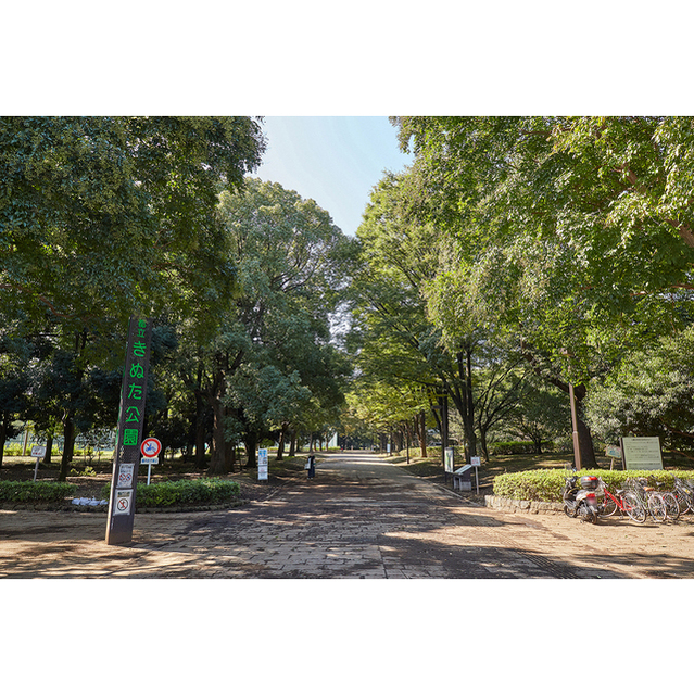 公園　砧公園（公園）まで2130m