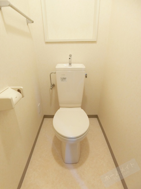 ビューテラス大新のトイレ写真