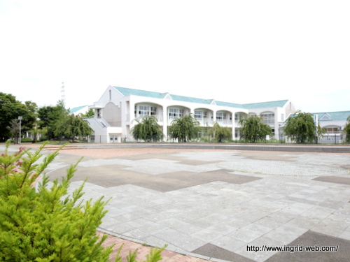 小学校　長野市立三本柳小学校（小学校）まで268m