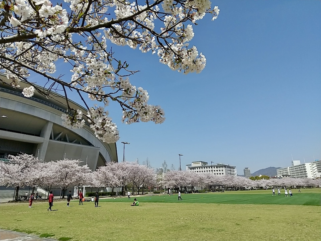 【神戸市兵庫区金平町のアパートの公園】