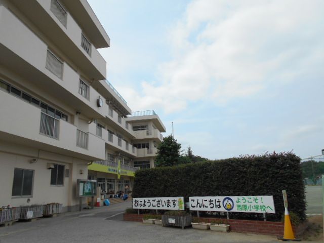 小学校　さいたま市立西原小学校（小学校）まで720m