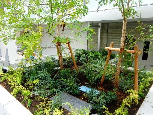 庭　植栽