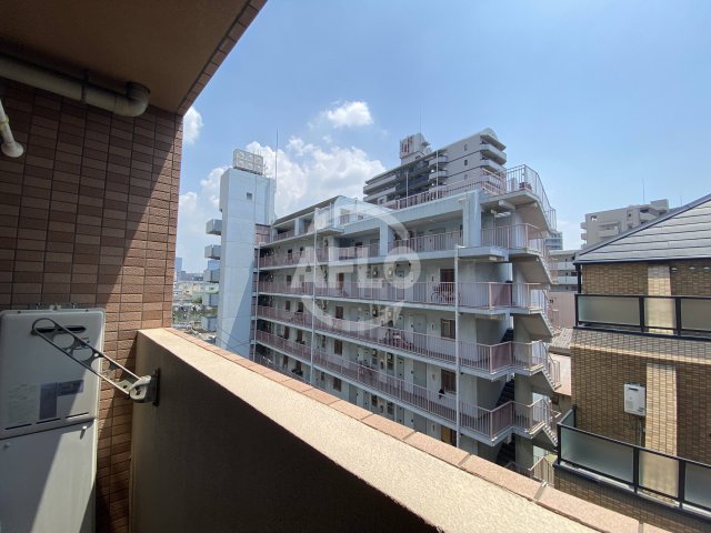 眺望　ポプラの樹