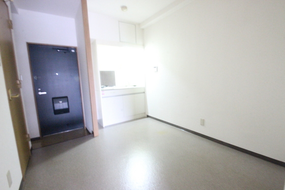 玄関　※別部屋の写真です