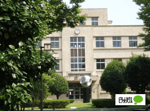 中学校　横浜国立大学教育学部附属横浜中学校（中学校）まで784m