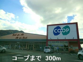 スーパー　Ａコープ（スーパー）まで300m
