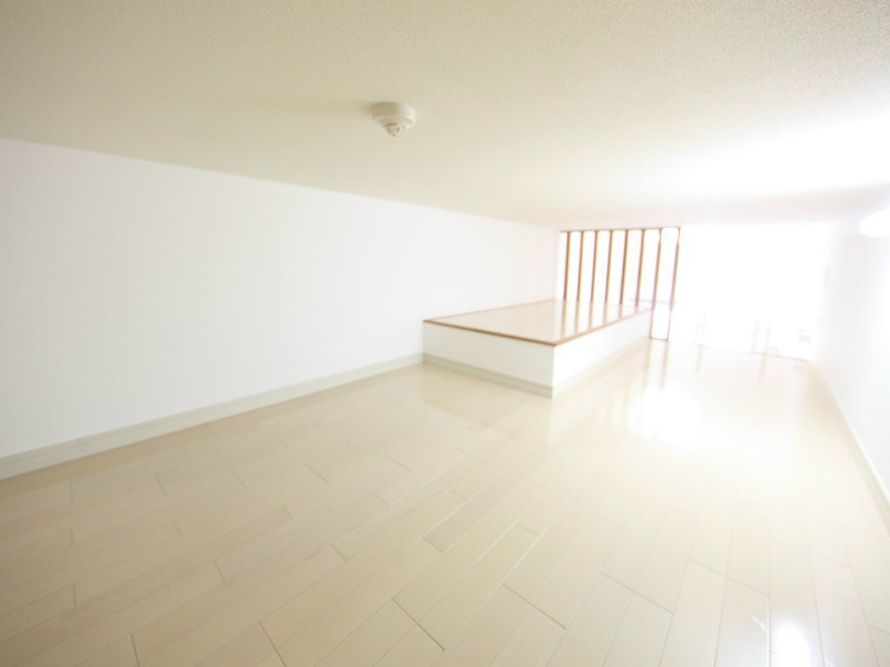 その他部屋・スペース　ロフト5.0帖　寝室としても収納としても使えます
