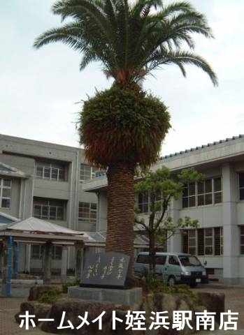 小学校　玄洋小学校（小学校）まで1437m